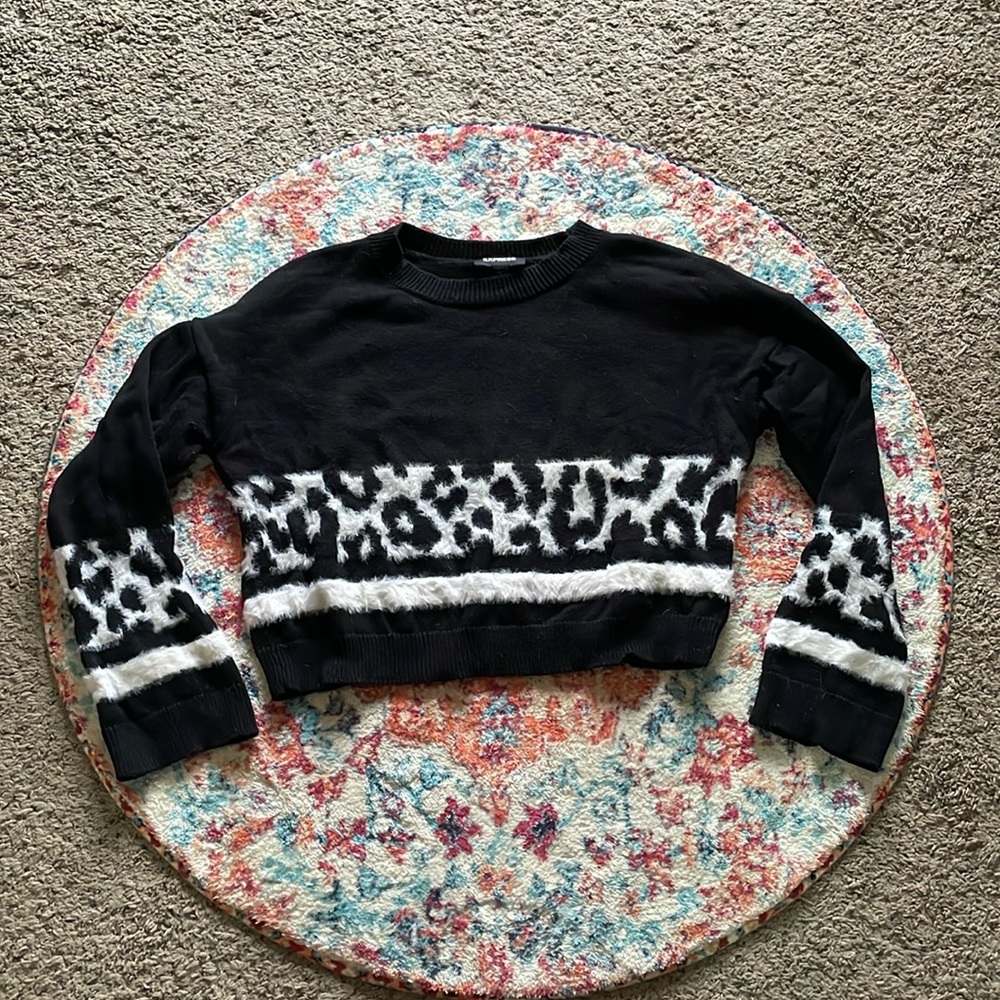 Express Fuzzy Leopard Stripe Cropped Sweater